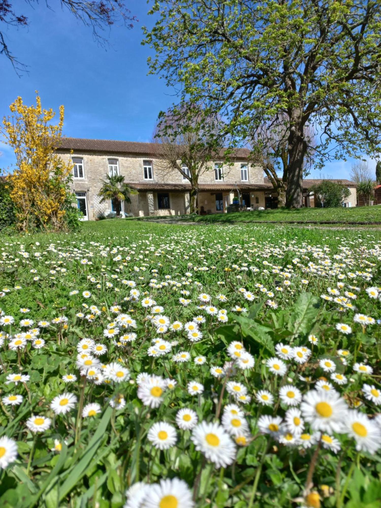 Domaine De Fontsauzine - Gites Et Chambre D'Hotes Genouille  Exterior foto